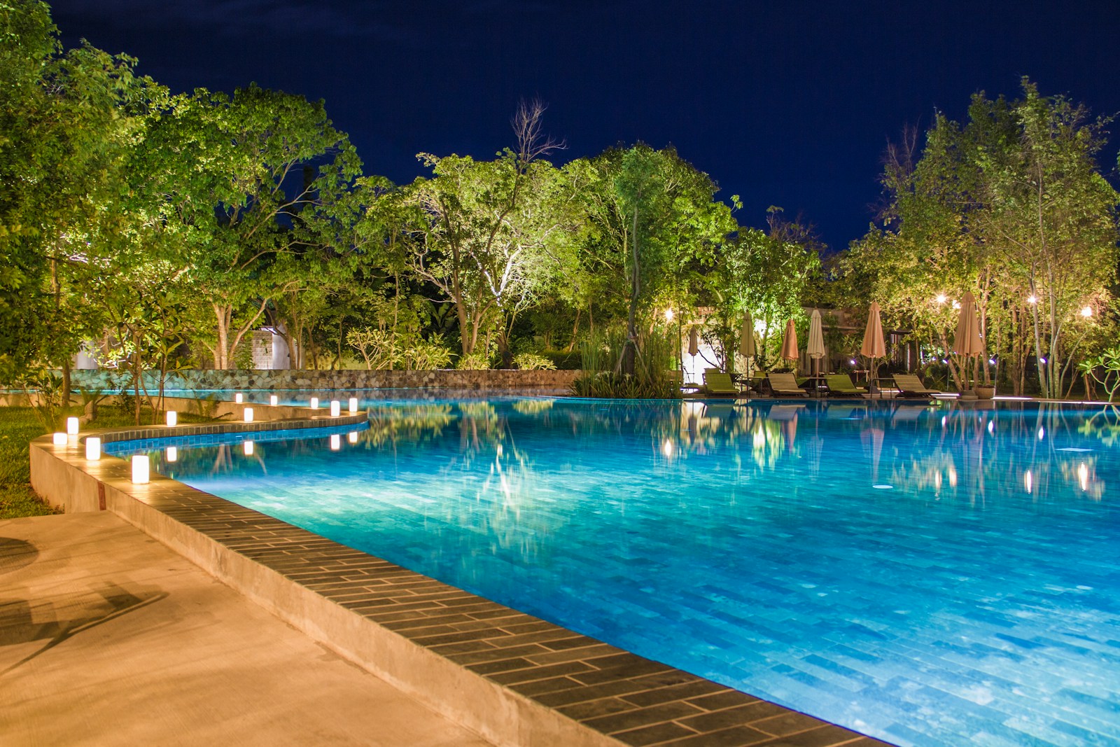 blue pool near tall trees at night
