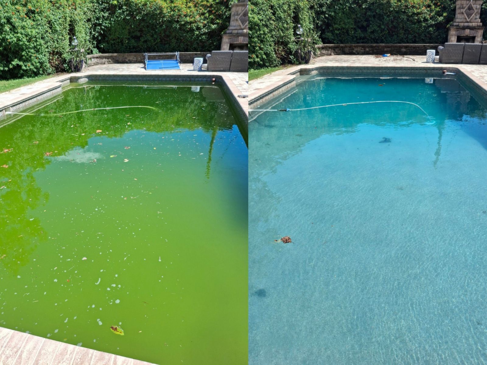 Before and after pool cleaning showing green algae water transformed into clear blue swimming pool