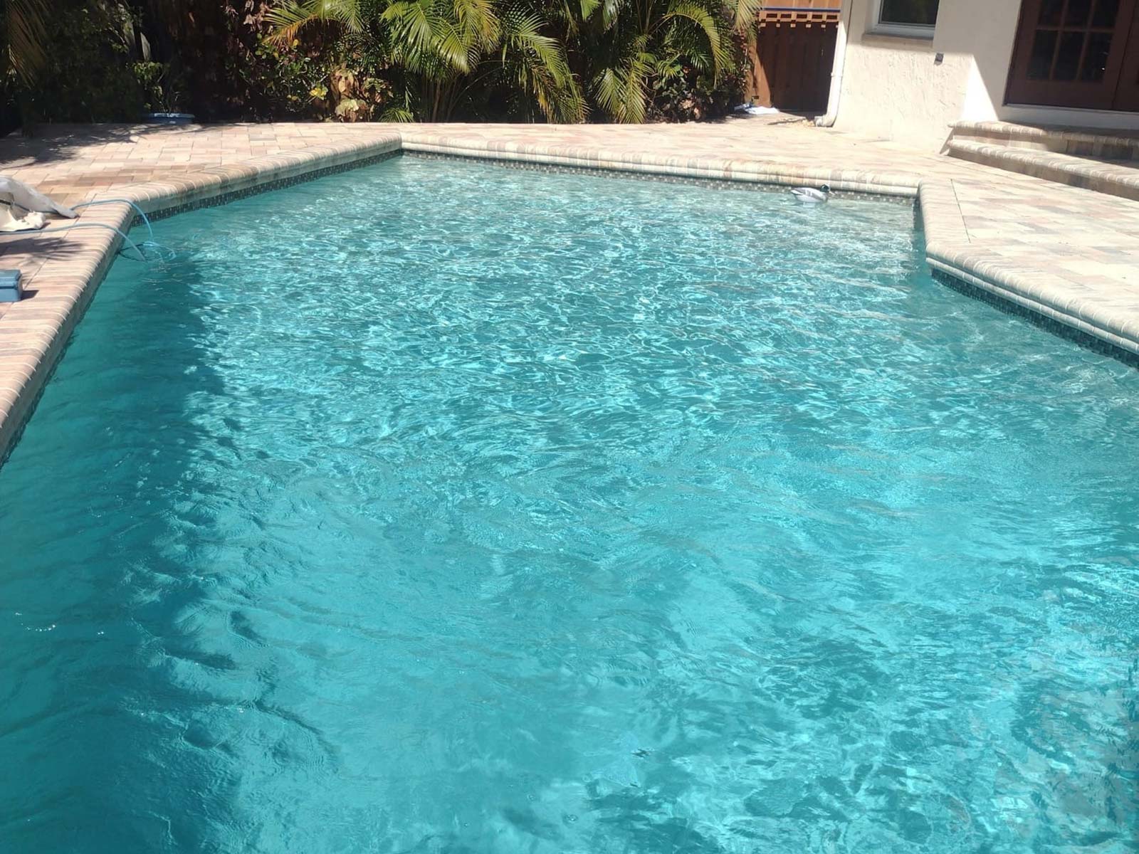BEST Pool Remodeling Services in St. Petersburg, FL | Clear Tech Pools