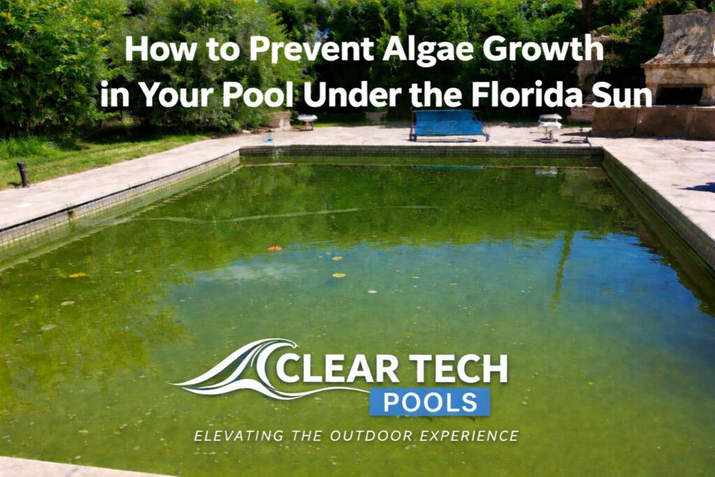 prevent pool algae growth