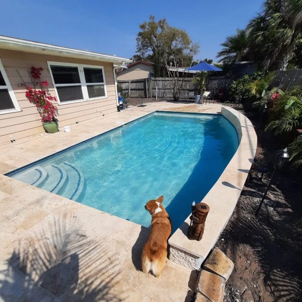 Pool Builder Pool Remodeling Tampa